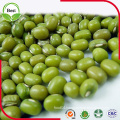 2016 New Crop Organic Green Mung Beans